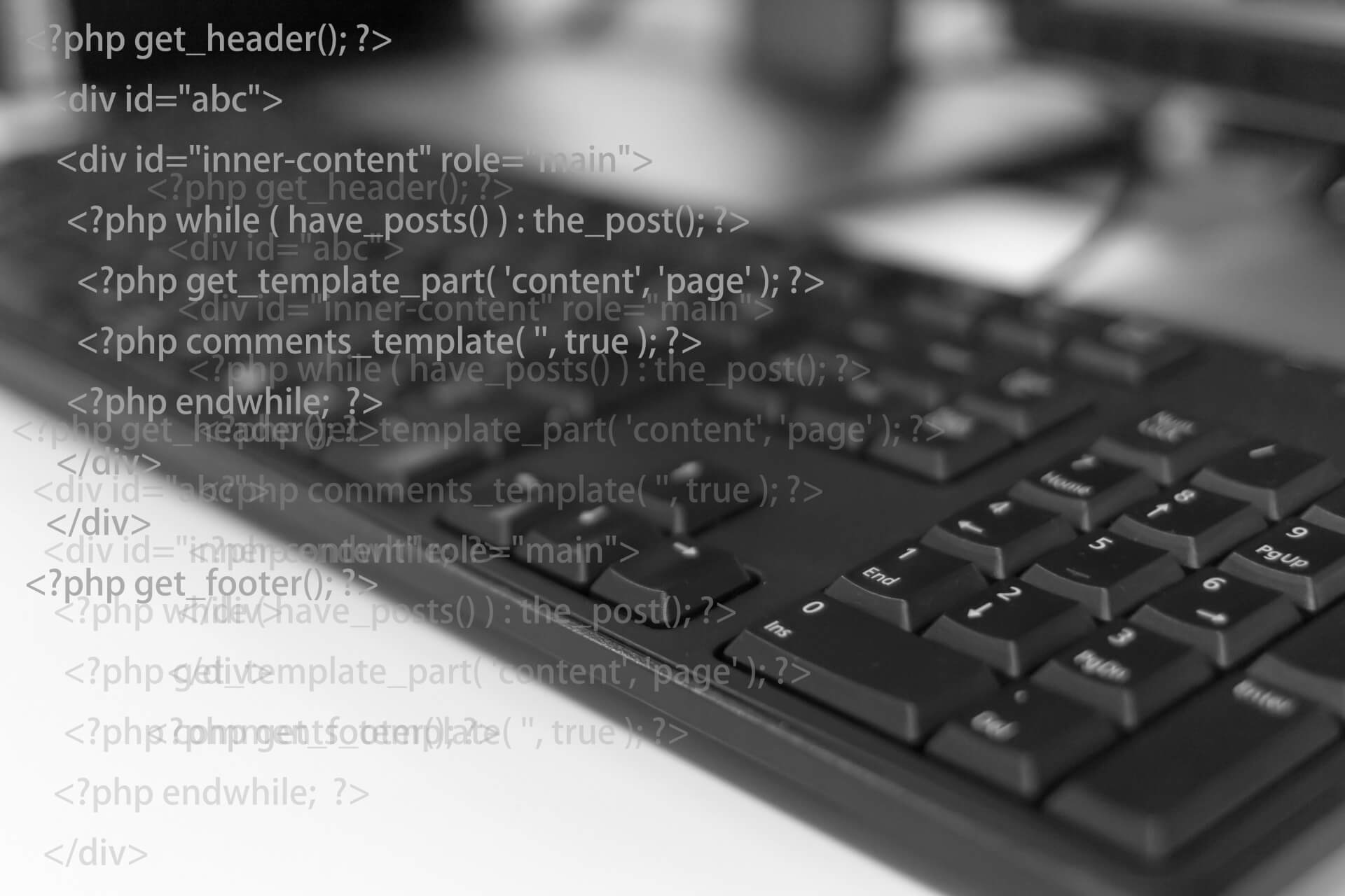 コンピュータ画面に映るプログラム