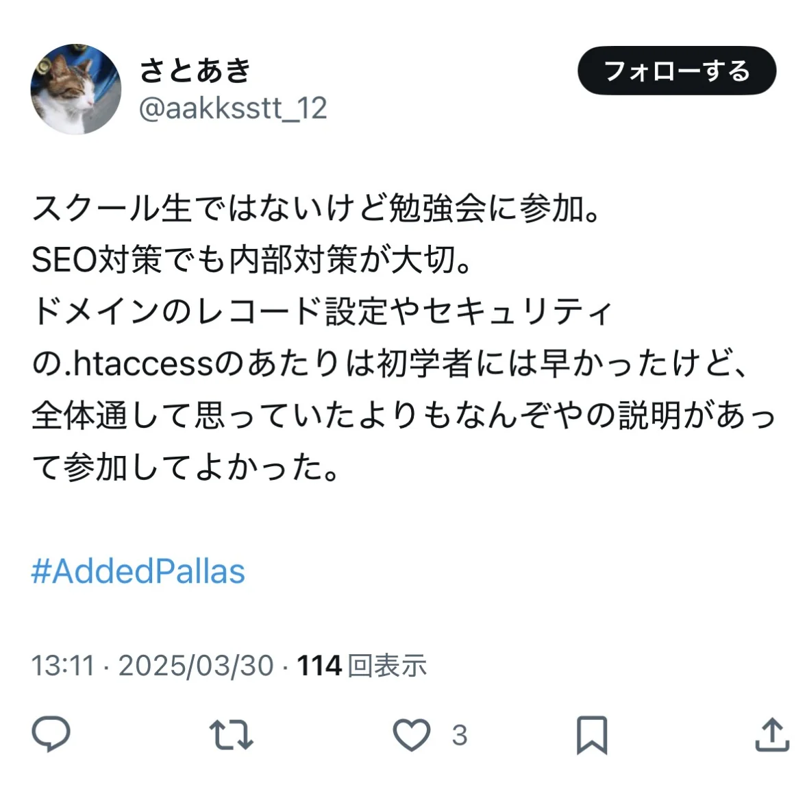 感想01の写真
