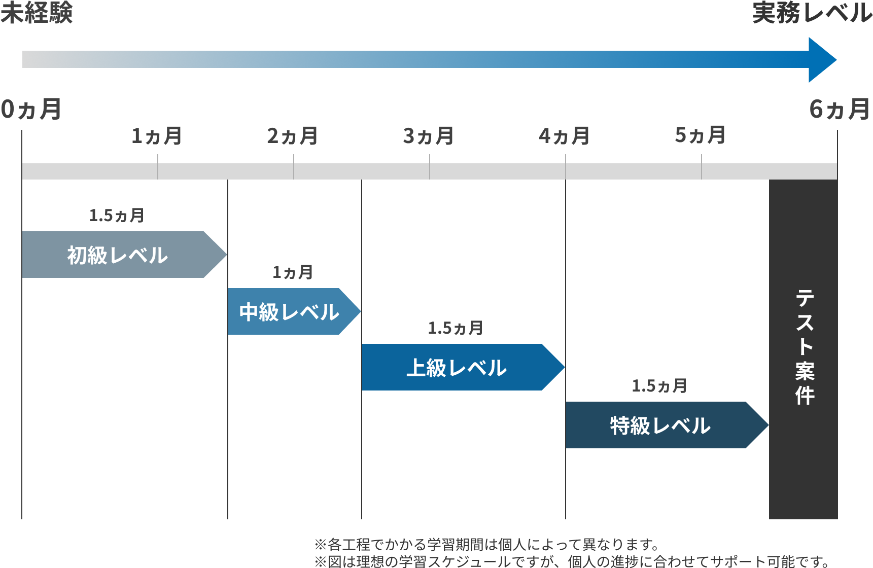 カリキュラム画像